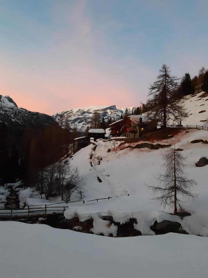 Ferienwohnung Piccola Residenza Champoluc Exterior foto